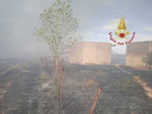 roghi sardegna