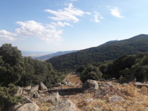 foreste sardegna