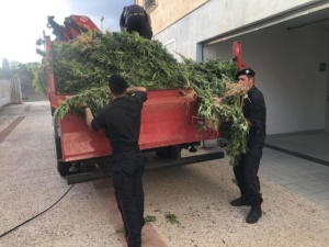 spaccio droga sardegna