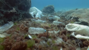 plastica aree protette sardegna