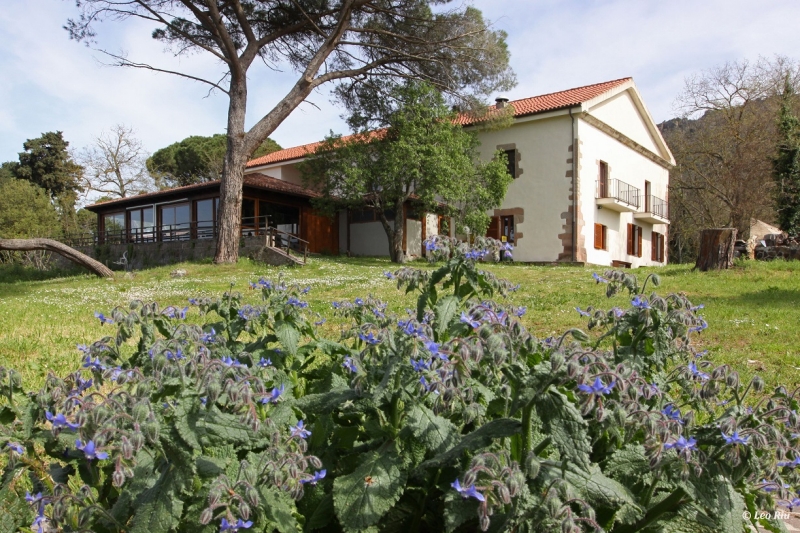 Locanda Minerva erbe officinali