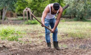 Agricoltore