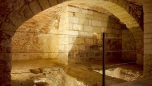 Cantiine_duca