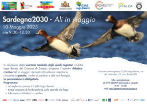 Locandina attività Ali in viaggio - 10 Maggio