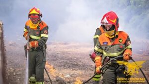 Corpo forestale sardegna