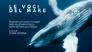 Le voci del mare