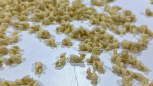 Sagra de sos ciccioneddos codrongianos