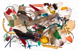 Foto plastica 2