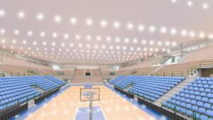 Palaserradimigni_progetto