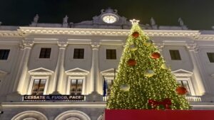 Albero natale sassari