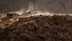 Compost