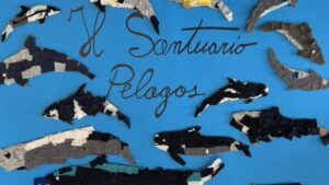 IMG_5982_orizzontale(1)