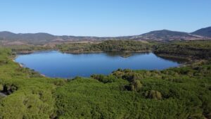 Lago baratz